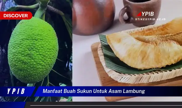 manfaat buah sukun untuk asam lambung