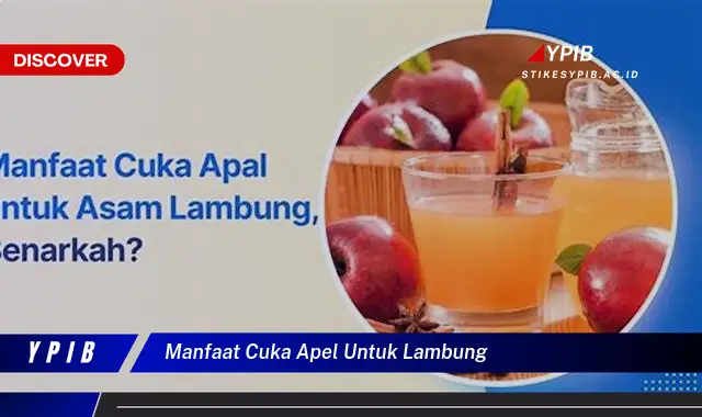 manfaat cuka apel untuk lambung