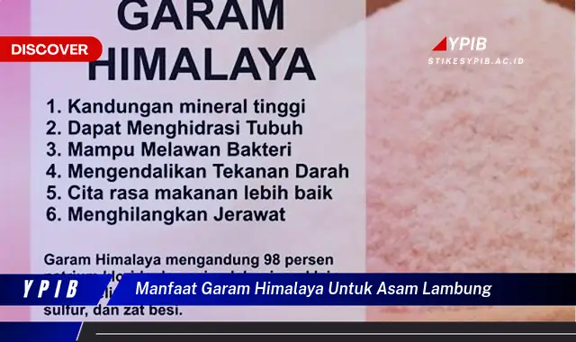 manfaat garam himalaya untuk asam lambung