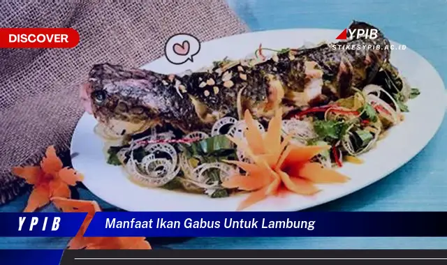 manfaat ikan gabus untuk lambung