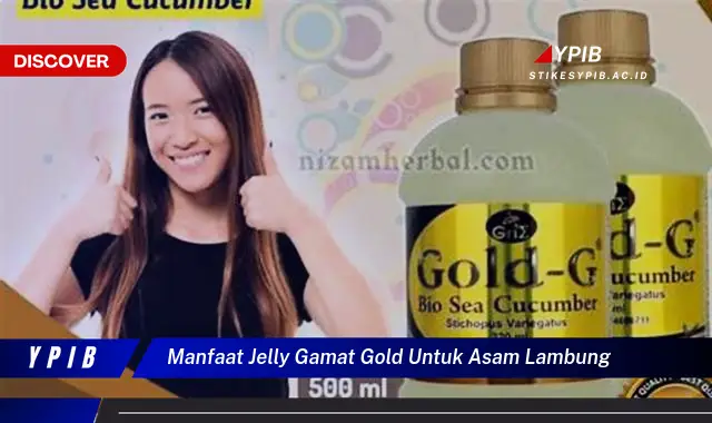 manfaat jelly gamat gold untuk asam lambung