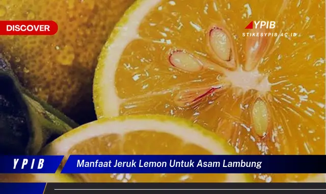 manfaat jeruk lemon untuk asam lambung