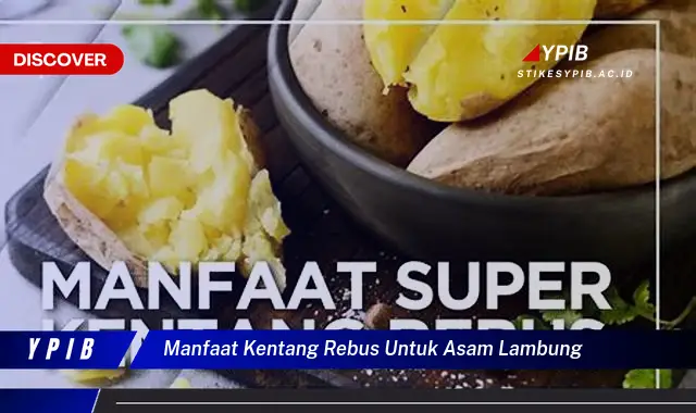 manfaat kentang rebus untuk asam lambung manfaat kentang rebus untuk asam lambung