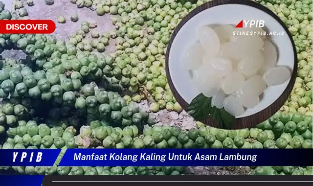 manfaat kolang kaling untuk asam lambung