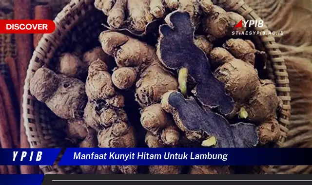 manfaat kunyit hitam untuk lambung