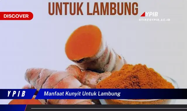 manfaat kunyit untuk lambung