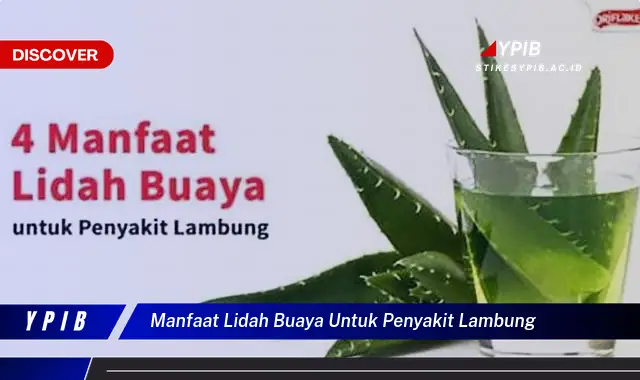 manfaat lidah buaya untuk penyakit lambung