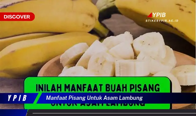 manfaat pisang untuk asam lambung manfaat pisang untuk asam lambung