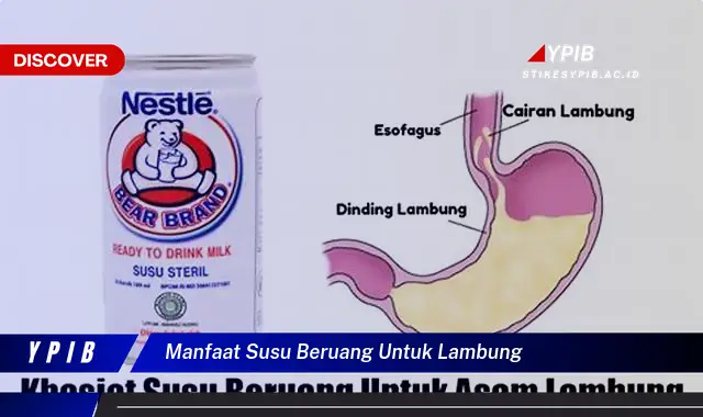 manfaat susu beruang untuk lambung