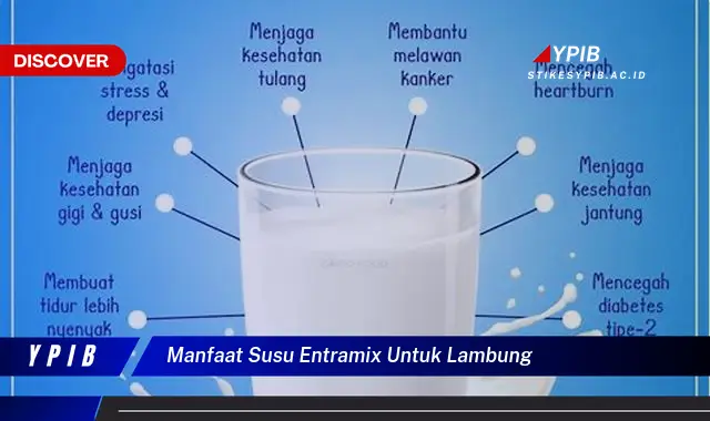 manfaat susu entramix untuk lambung