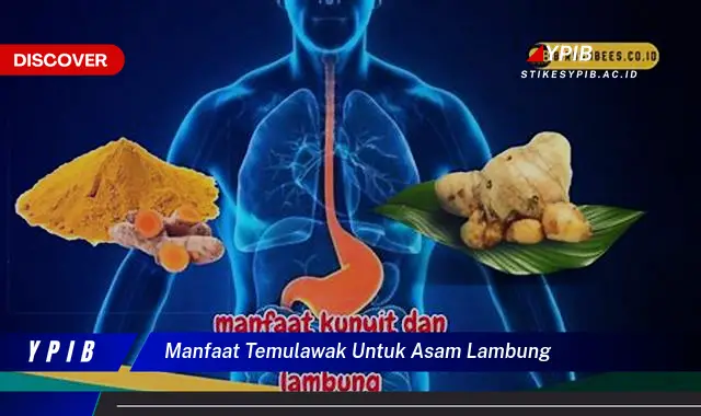 manfaat temulawak untuk asam lambung