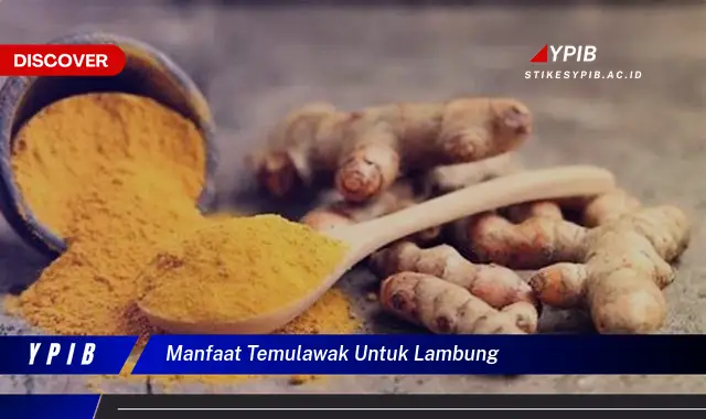 manfaat temulawak untuk lambung