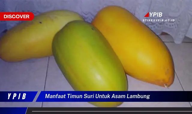 manfaat timun suri untuk asam lambung