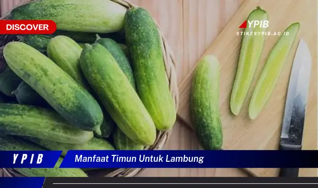 manfaat timun untuk lambung