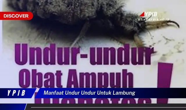 Ketahui 9 Manfaat Undur-undur untuk Lambung yang Jarang Diketahui