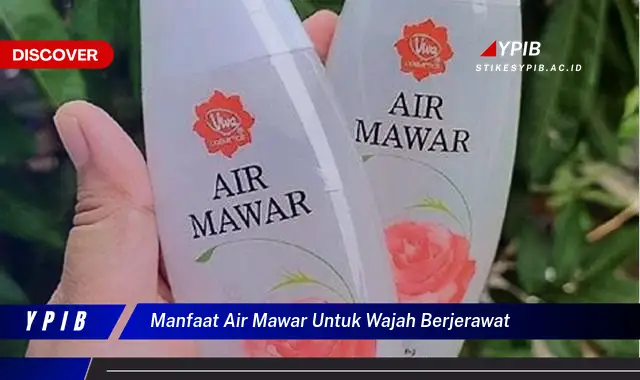 manfaat air mawar untuk wajah berjerawat