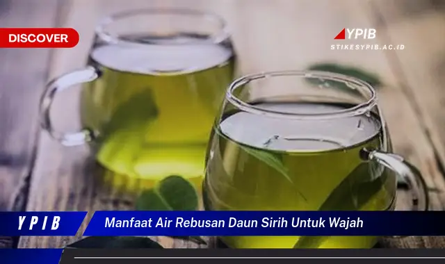 manfaat air rebusan daun sirih untuk wajah