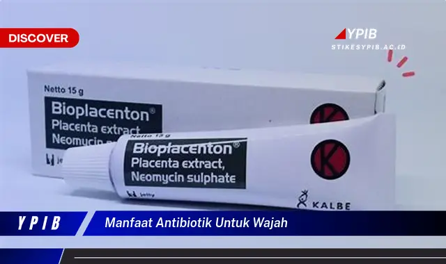 manfaat antibiotik untuk wajah