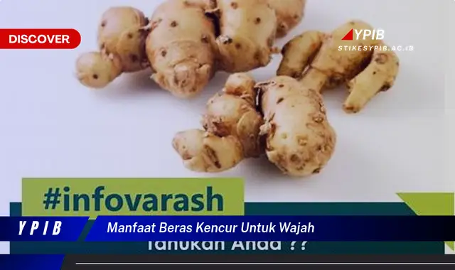 manfaat beras kencur untuk wajah