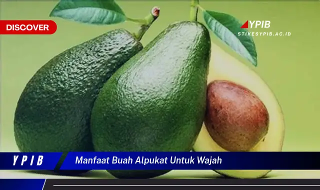 manfaat buah alpukat untuk wajah