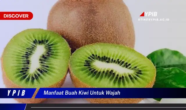 manfaat buah kiwi untuk wajah manfaat buah kiwi untuk wajah