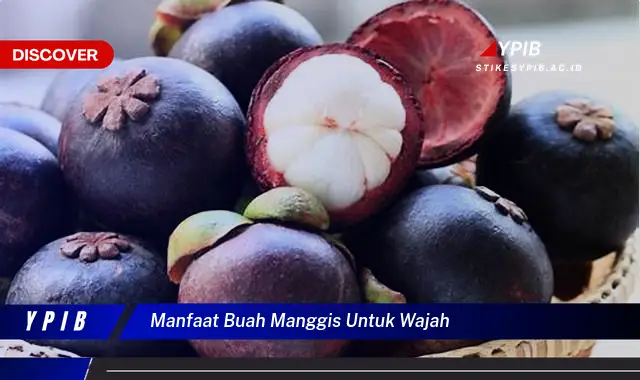 manfaat buah manggis untuk wajah