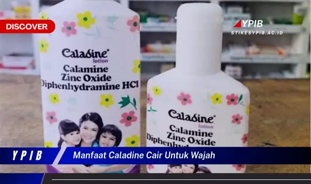 manfaat caladine cair untuk wajah