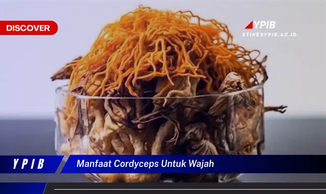 manfaat cordyceps untuk wajah