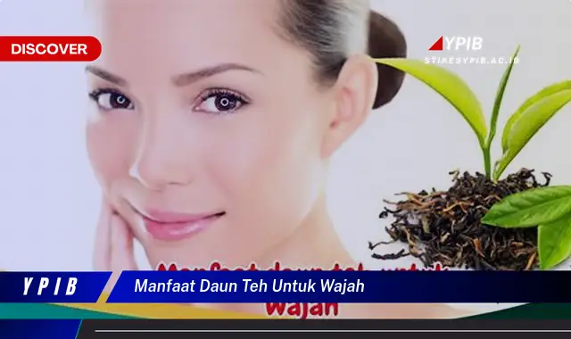 manfaat daun teh untuk wajah