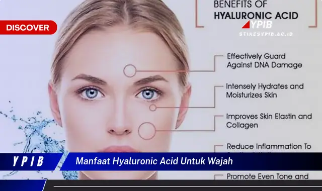 manfaat hyaluronic acid untuk wajah