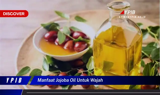 manfaat jojoba oil untuk wajah