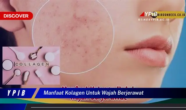 manfaat kolagen untuk wajah berjerawat