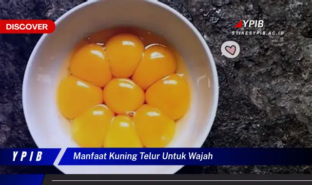 manfaat kuning telur untuk wajah