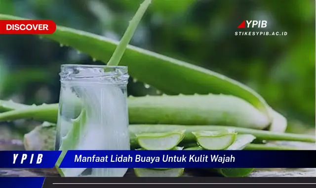 manfaat lidah buaya untuk kulit wajah