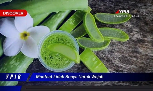 manfaat lidah buaya untuk wajah