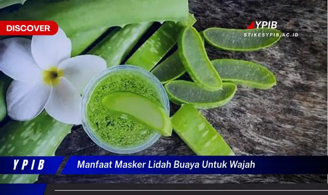 manfaat masker lidah buaya untuk wajah