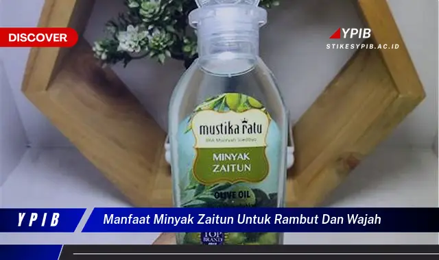 manfaat minyak zaitun untuk rambut dan wajah