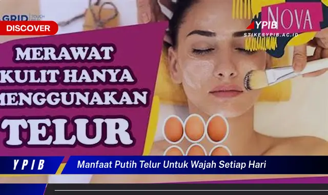 manfaat putih telur untuk wajah setiap hari