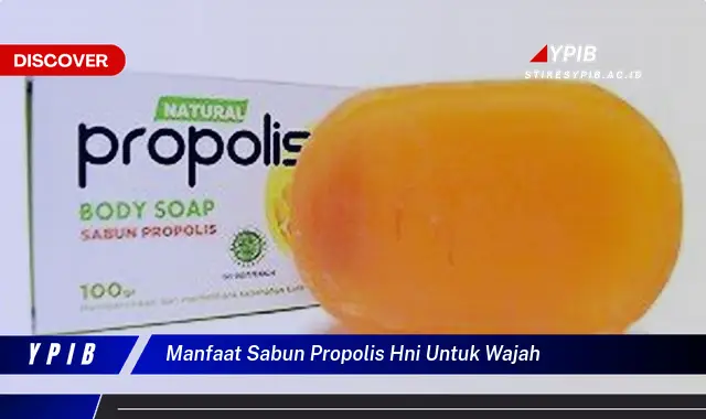 manfaat sabun propolis hni untuk wajah