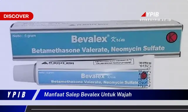 manfaat salep bevalex untuk wajah