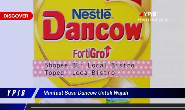 manfaat susu dancow untuk wajah