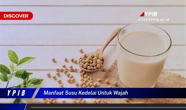 manfaat susu kedelai untuk wajah