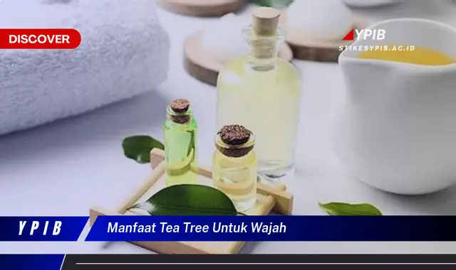 manfaat tea tree untuk wajah