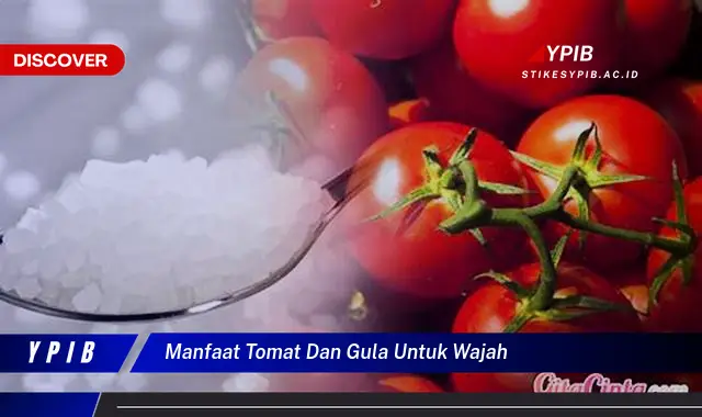 manfaat tomat dan gula untuk wajah